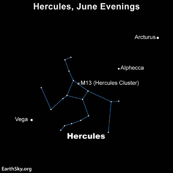 hercules-june.jpg