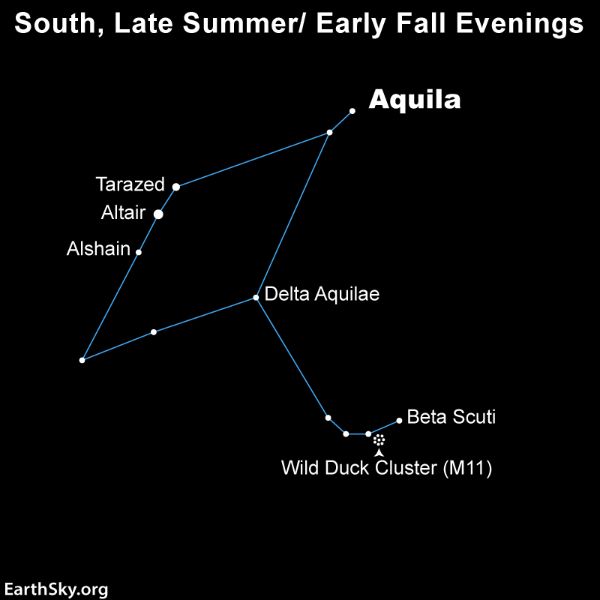 aquila.jpg