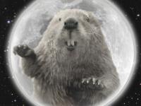 beaver-moon.jpg