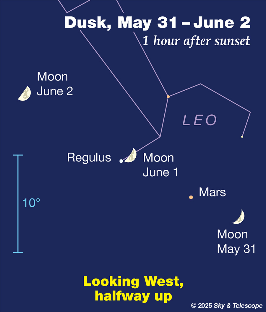 webvic_june01ev-darkblu.jpg